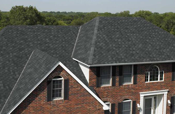 Sappi roofing